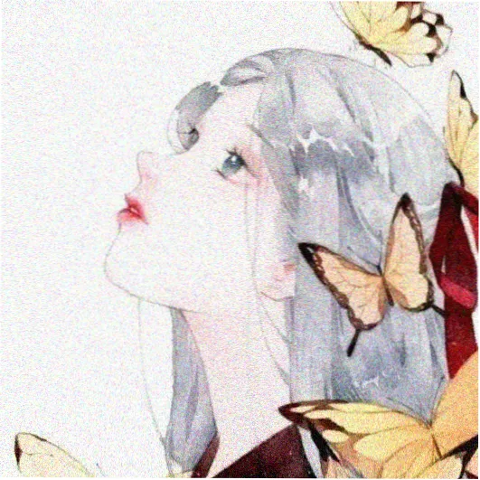 主编言之的头像